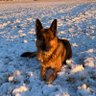 Noller profil fotoğrafı