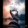 بندر الحلواني's profile picture