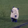 kuro's profile picture