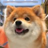 toto's profile picture