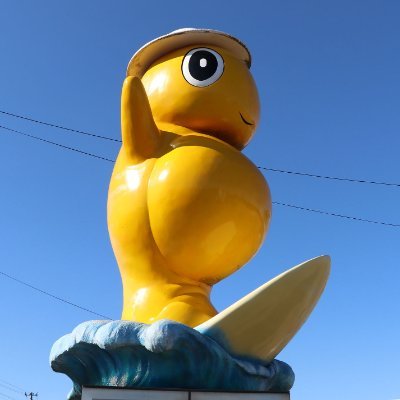 野田村観光協会's profile picture