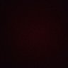 Yhari Rodriguez's profile picture