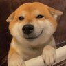 Fahaxiki's profile picture