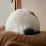 からくり profil fotoğrafı