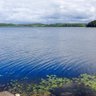 Podlasior 的头像