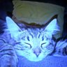 Profilbild von Frankie