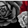 Lex TheGrayRose profil fotoğrafı