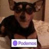 Nieves Perez🔻💜💜💜💜💜 的头像