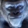 Фото профиля Big monke