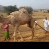 Ramesh Panghal profil fotoğrafı