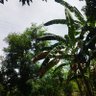 Mwanza profil fotoğrafı