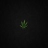 JVweed profil fotoğrafı