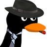 Kuak profil fotoğrafı