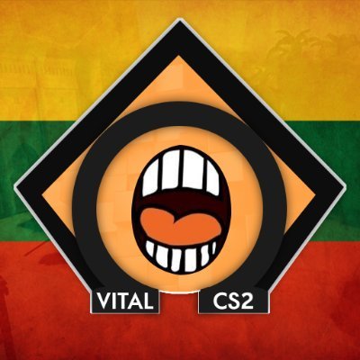 Vital CS2's profile picture