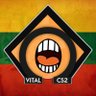 Фото профиля Vital CS2💙💛