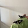 Фото профиля غيـم الحـربي 🇸🇦🖤