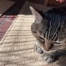 Фото профиля おつユキ