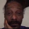 𝖌𝖗𝖎𝔭 𝖗𝖊☠︎𝔭𝖊𝖗لا's profile picture