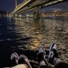 TOBA of LivingFC profil fotoğrafı