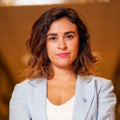 Javiera Morales Alvarado's profile picture