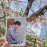あやめ's profile picture