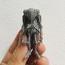 Chantaku 的头像