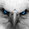 Profilbild von jack all