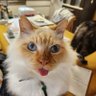 かんたろう's profile picture