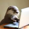 ALAL profil fotoğrafı