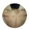 MrBigLong 的头像