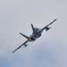 Фото профиля hornet