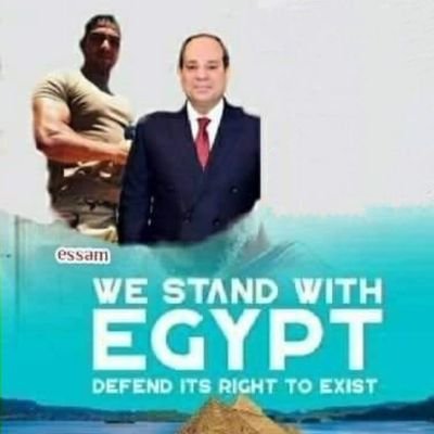 EssamElmohandes's profile picture