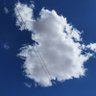 ☂️'s profile picture