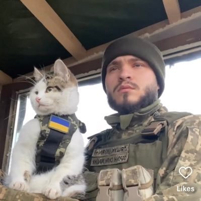 Алекс Ляшук's profile picture