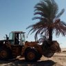 حسن بشير's profile picture