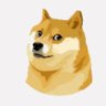 Joko profil fotoğrafı
