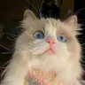 XX's profile picture
