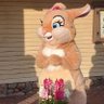 Фото профиля mica-san🐰