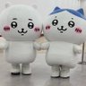 ゆー's profile picture