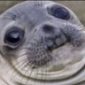 Profilbild von Josh