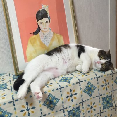 peyoungmaki's profile picture