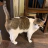 Фото профиля ゆっきー