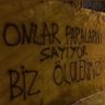 Sarp profil fotoğrafı