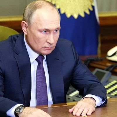 Putin wase Sajonisi 🇷🇺's profile picture