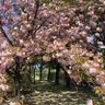理系が好きすぎて本垢と棲み分けした件 profil fotoğrafı
