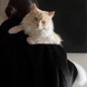 h profil fotoğrafı