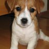 Orvokki profil fotoğrafı