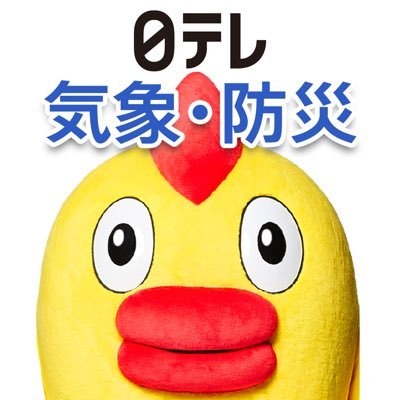日テレ【気象・防災】そらジロー's profile picture