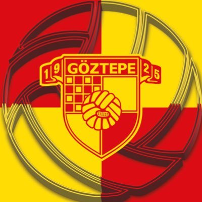 Papara Gรถztepe Voleybol's profile picture