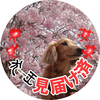 miwasasuke's profile picture